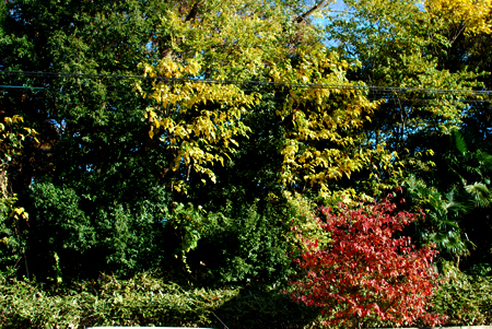 d0113613_11554315.jpg