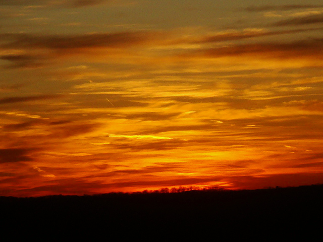 e0147716_129055.jpg