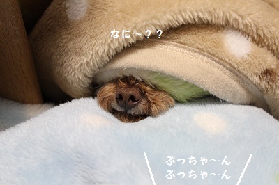 b0197418_1232789.jpg