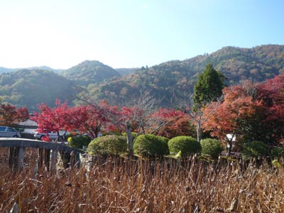 c0227720_234244.jpg