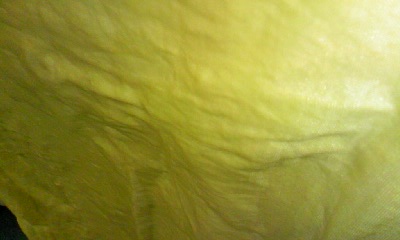 d0024220_2259729.jpg