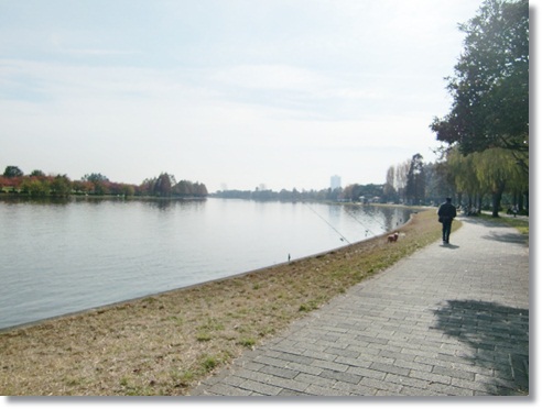 f0182121_15145541.jpg