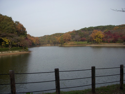 e0109622_2016251.jpg