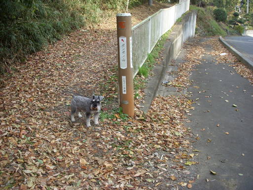 e0109622_20214525.jpg