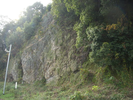 e0109622_20322818.jpg