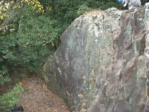 e0109622_2035234.jpg