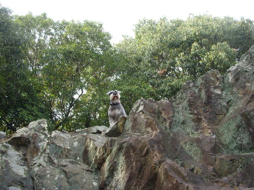 e0109622_20355669.jpg