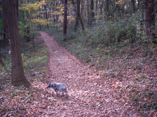 e0109622_2037566.jpg