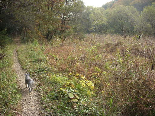 e0109622_20382011.jpg
