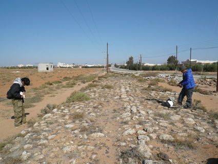c0112823_6293785.jpg