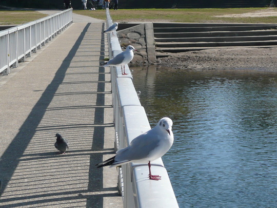 c0009528_17294215.jpg