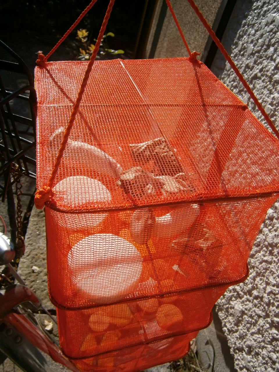 e0145328_20305872.jpg