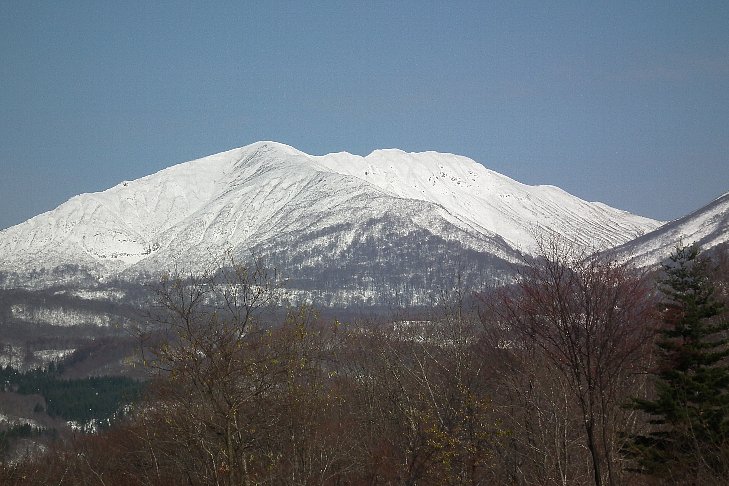 f0118332_23395285.jpg