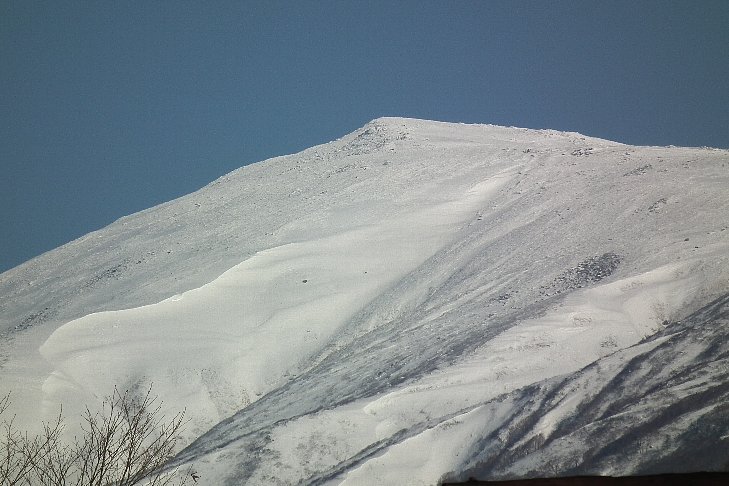 f0118332_2340254.jpg