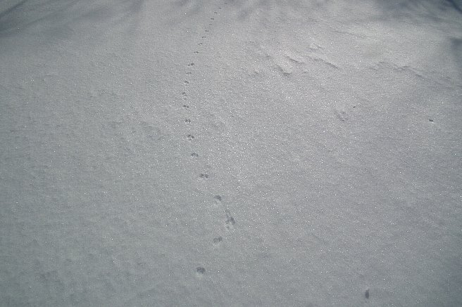f0118332_23435140.jpg