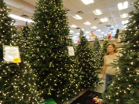 f0238932_12374593.jpg
