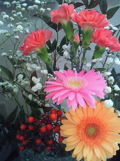 c0025033_166276.jpg