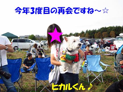 c0212637_11555240.jpg