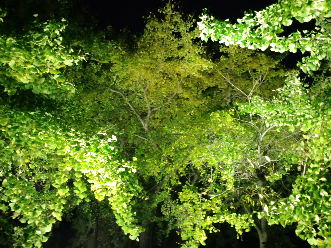 b0076739_0185985.jpg