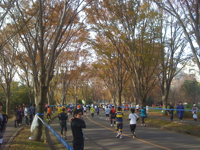b0039341_20374830.jpg