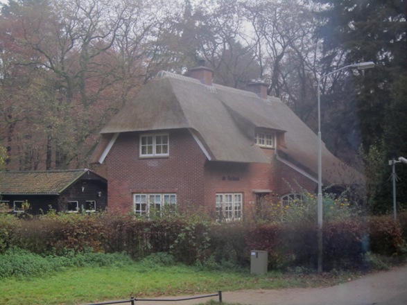 b0162442_20331848.jpg