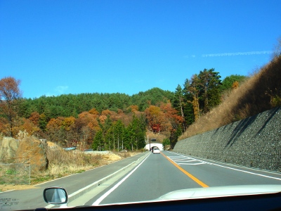 a0072247_7424447.jpg