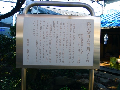 a0072247_8185495.jpg