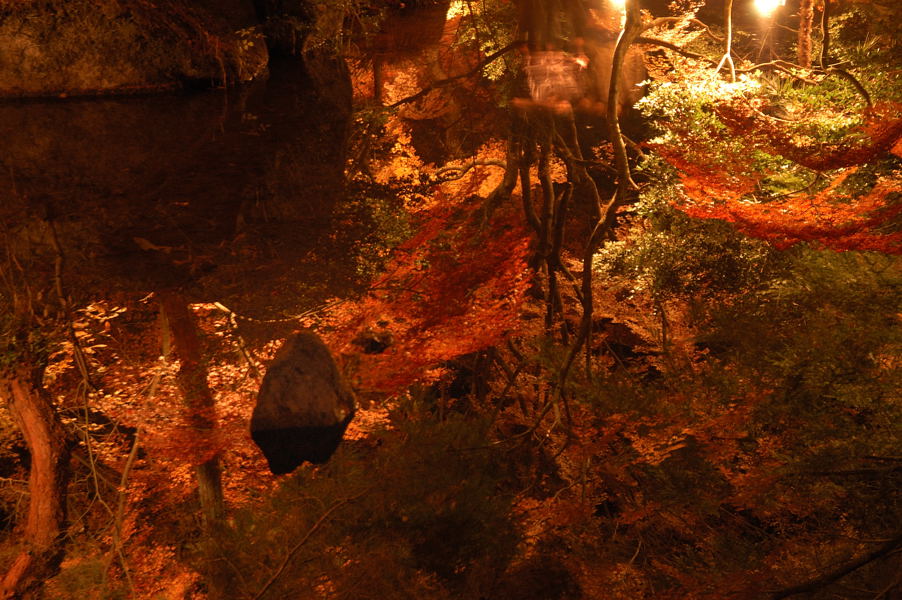 a0169060_14186.jpg