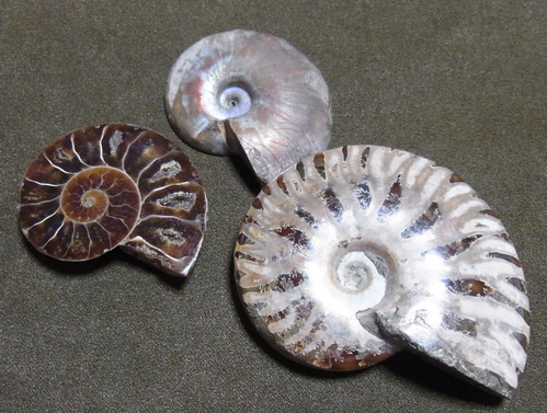 b0238760_15173964.jpg