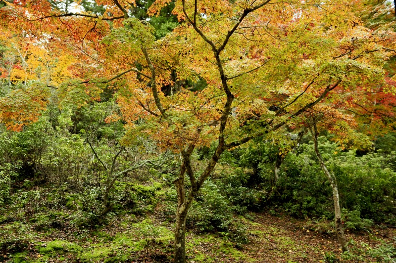 b0131167_12581188.jpg