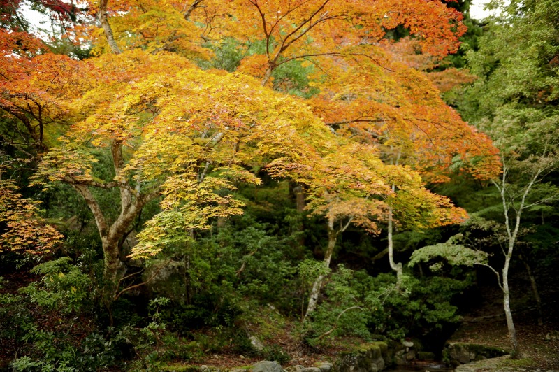 b0131167_13019100.jpg