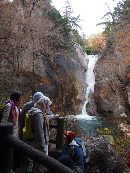 c0122670_2327503.jpg