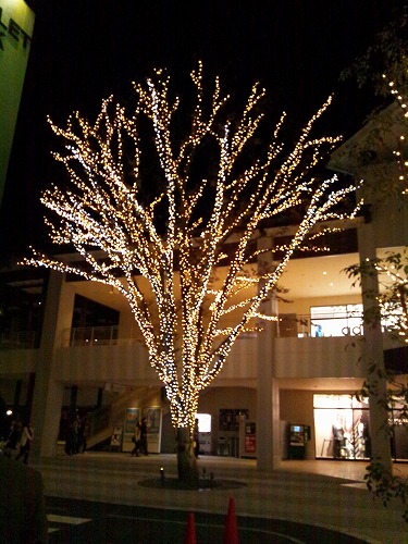 f0234172_935182.jpg