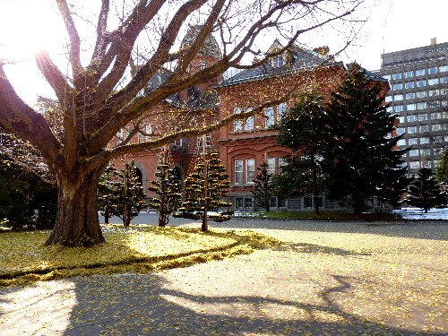 d0084473_2026201.jpg
