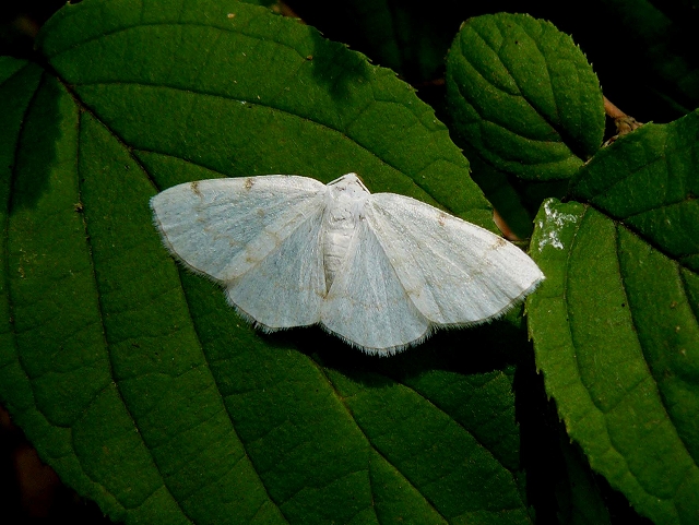 d0019074_9584093.jpg