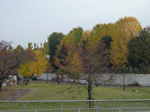 c0123890_20262212.jpg