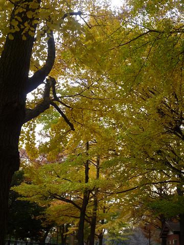 c0123890_20263560.jpg