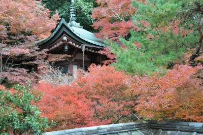 a0152391_16163274.jpg