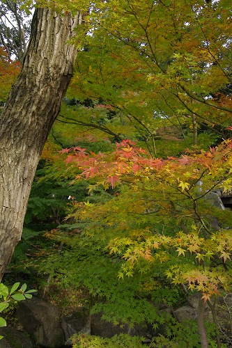 b0119493_211046100.jpg