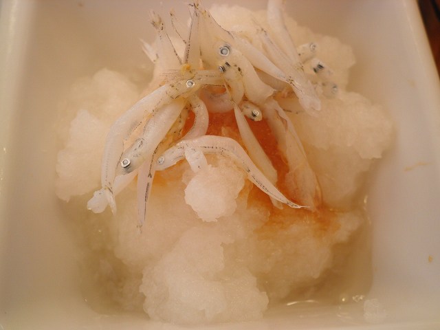 c0118393_9464641.jpg