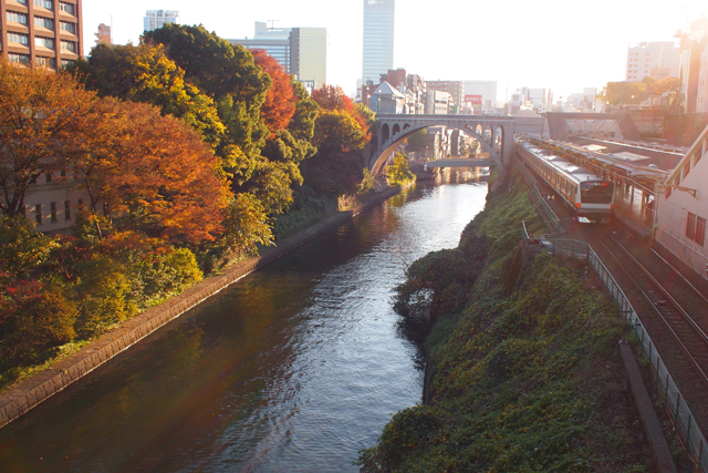 a0207595_19553016.jpg
