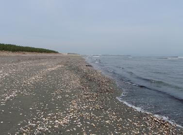 a0125598_21593418.jpg