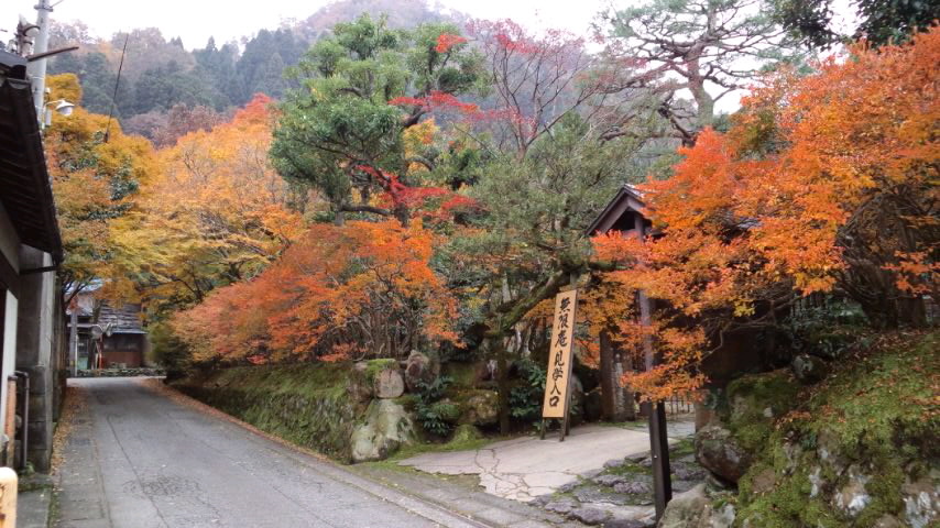 d0093903_2324122.jpg
