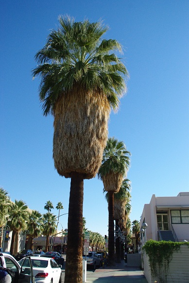 f0038904_447265.jpg