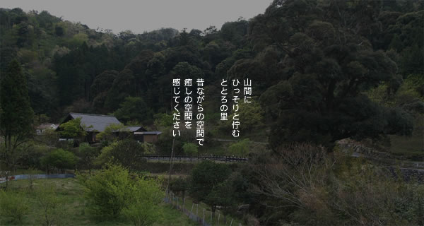 f0061705_20361719.jpg