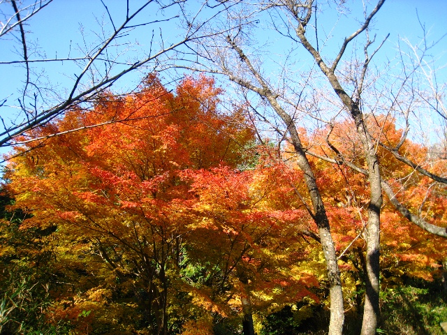 a0097006_22553435.jpg