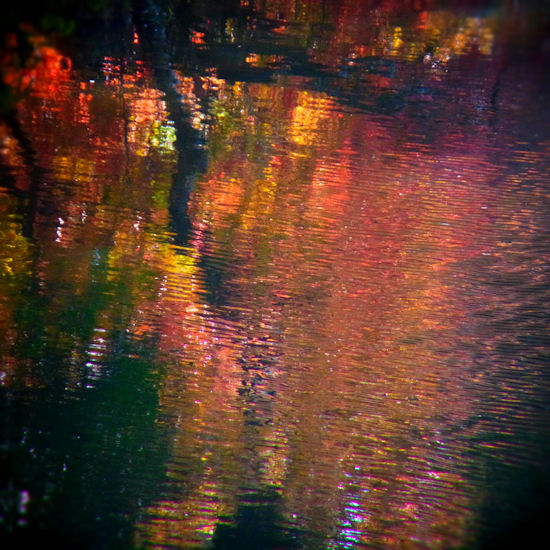 d0181907_2394325.jpg