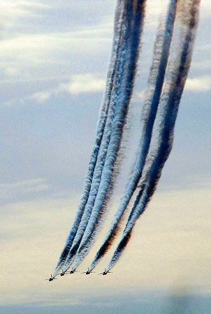 b0051109_1034749.jpg