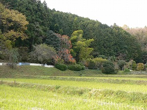 f0006509_23434748.jpg