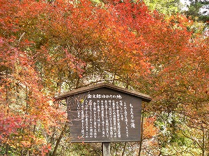 f0006509_23523590.jpg